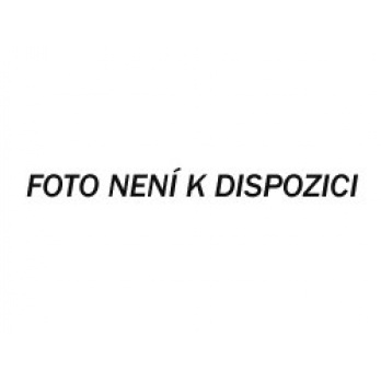 Roberto Cavalli Uomo Silver Essence toaletní voda pro muže Roberto Cavalli Uomo Silver Essence toaletní voda pro muže