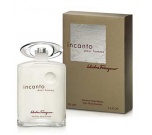 Salvatore Ferragamo Incanto Pour Homme toaletní voda