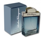 Salvatore Ferragamo Subtil Pour Homme toaletní voda